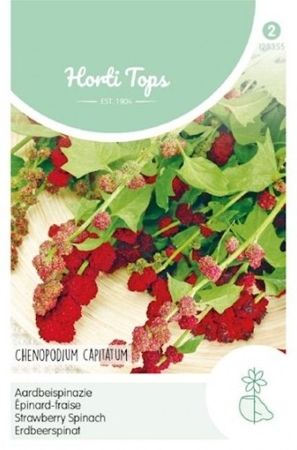 Špenát jahodový Merklík hlavatý Chenopodium capitatum 0,1 g